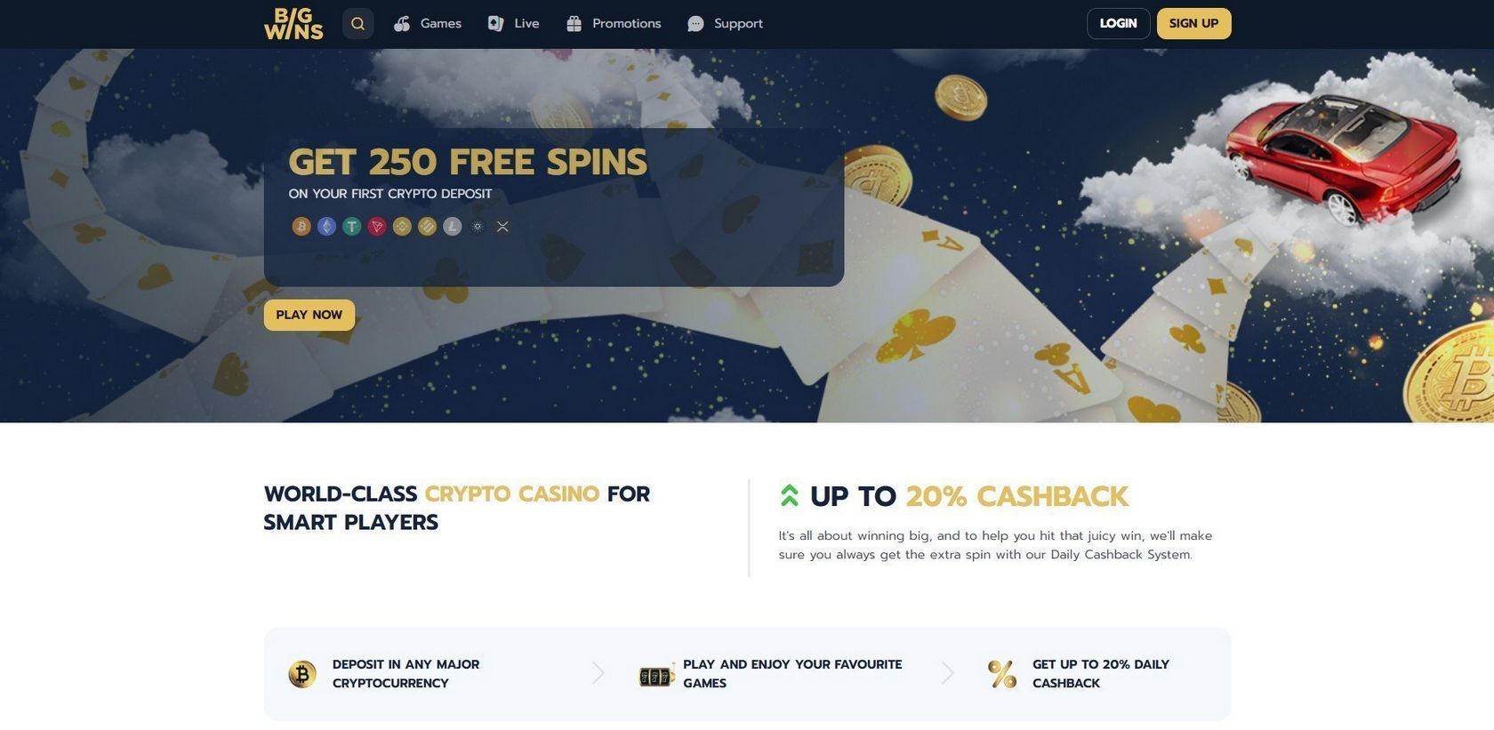Bigwins Casino Site Evaluation